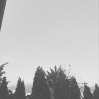 เสียงต้นฉบับ - sin 🤍