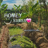 original sound - homeystorys