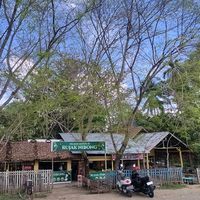 suara asli - AWAK_AWAM