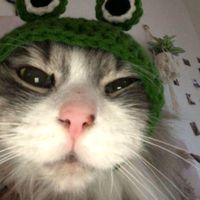 เสียงต้นฉบับ - bella_16