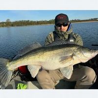 the_livescope_channel