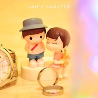 lan_shutter