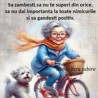 mili.scarlat
