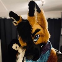 apollothatfox