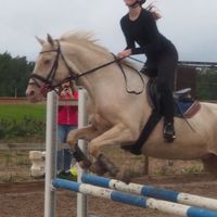 equi_alexandra