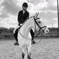 dressage_indy