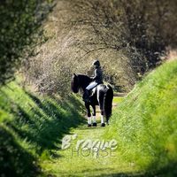 thijs.equestrian