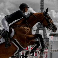 horse_edits548