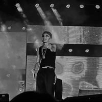 33kosinskaa