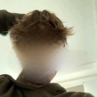 ha.original_adrian.ha