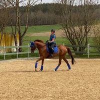 stuhler.laura