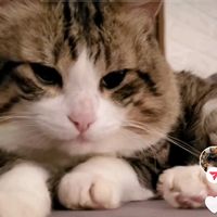 tasnimtasnim7804