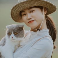 nhạc nền - Reviewcaobang