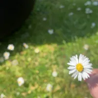 original sound - hana_licker