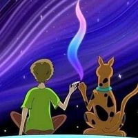 medzstatesessions101