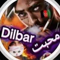 dilbar9173
