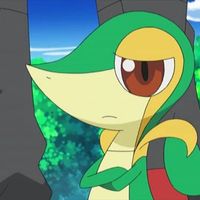 California Girls but Low Quality