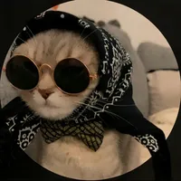 original sound - user73934829202