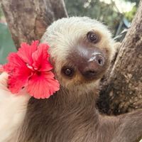 What was I made for Sped up