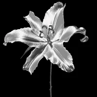 original sound - granchau