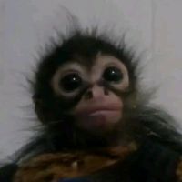 taksobie3