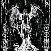 original sound - razebry