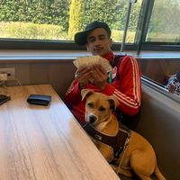 dz23_abdi