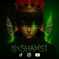 n1xshams