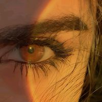 الصوت الأصلي