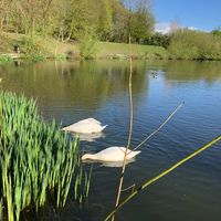 motivation.quotes555