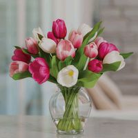 personnepointcesttout