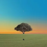 original sound - apple.music_2.0