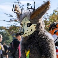 bendrial_the_skullwolf