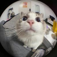 Schaut gerne bei Insta thelifeofmacco vorbei