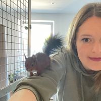 wildtierasyl