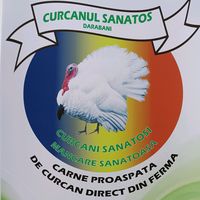 curcanul_sanatos