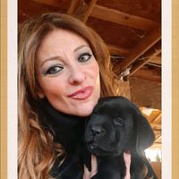 giorgia.stiloolgjslab