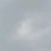 alle._.124