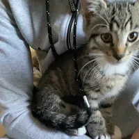 original sound - adrian_ibr02