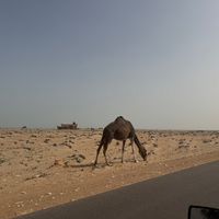 globalisnews