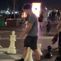 danisteiner_chess