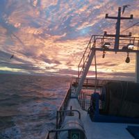 joseantonioalfonseca