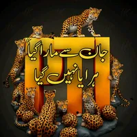 sadey pyar di kahani