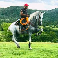 baezranch