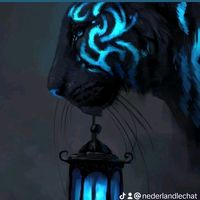 nederlandlechat