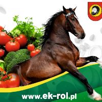 gieldarolnaproszowice