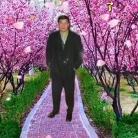 original sound - Handoko Liu