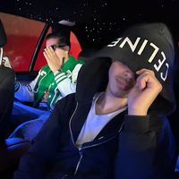 Use this sound if you love palestine