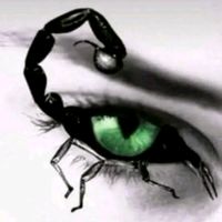 zelene_oci_2