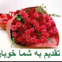 user77247175619212